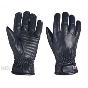 TRIUMPH GANTS NORGROVE - HOMME