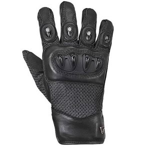 TRIUMPH GANTS HARPTON - HOMME