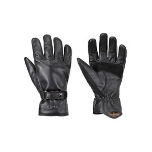 TRIUMPH GANTS STEWARD - HOMME